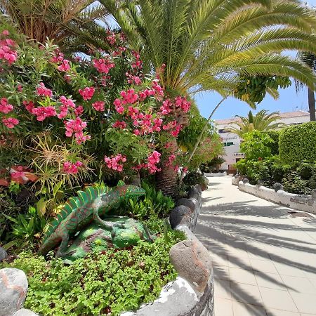 Parque Don Jose 390 Daire Arona  Dış mekan fotoğraf