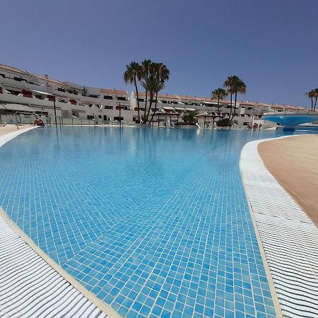 Parque Don Jose 390 Daire Arona  Dış mekan fotoğraf