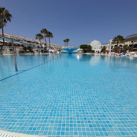 Parque Don Jose 390 Daire Arona  Dış mekan fotoğraf