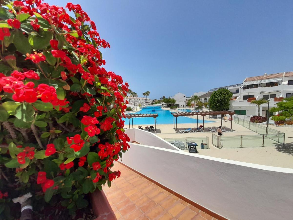 Parque Don Jose 390 Daire Arona  Dış mekan fotoğraf
